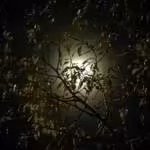 Boulder firebomber pleads guilty to federal hate crime charges