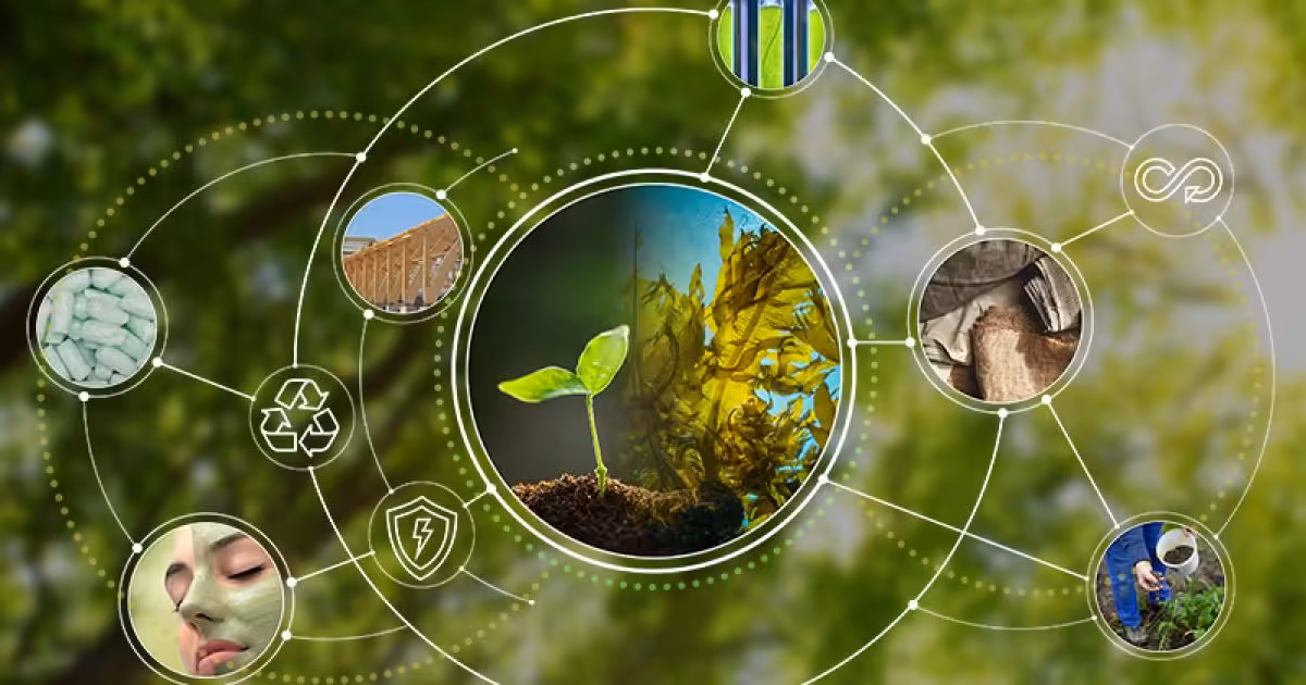 Bio-based Alliance launches to drive sustainable solutions