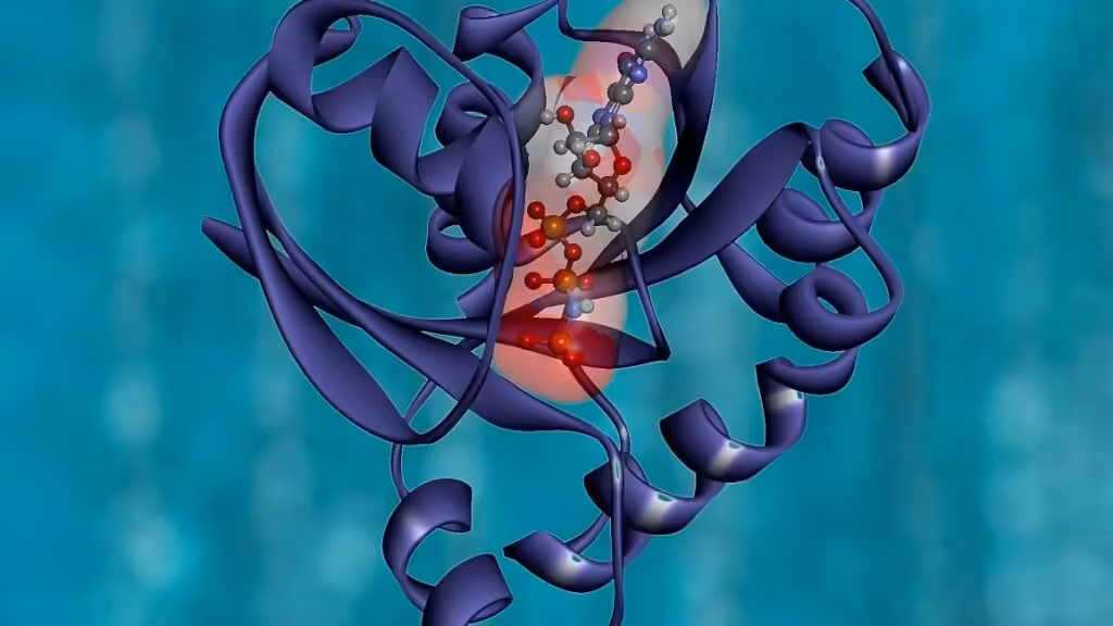 Incyte reports Phase 1 data at ESMO: 81% response rate on pancreatic drug