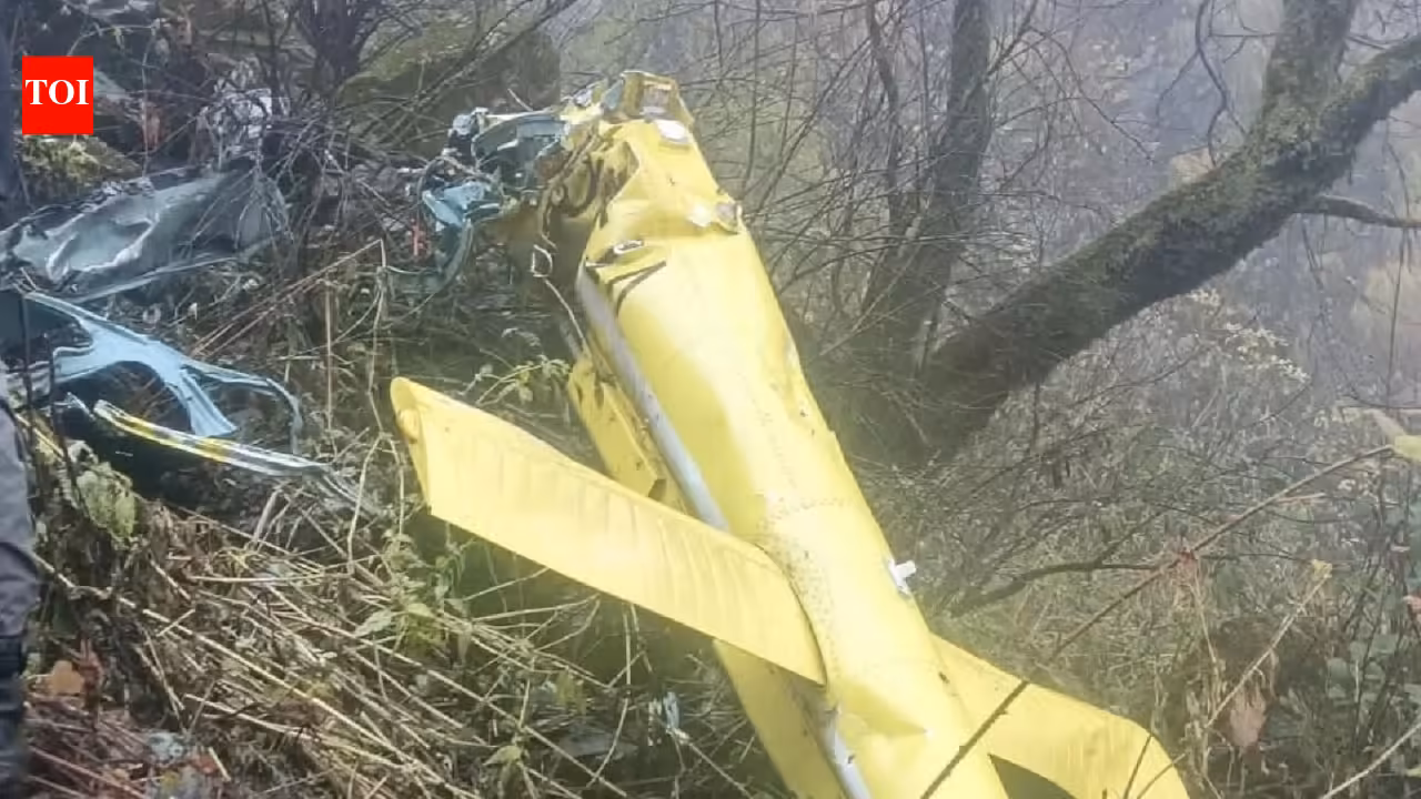 India's roads kill quietly while crashes in the sky make headlines | India News