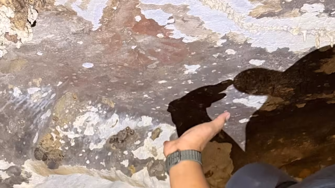Indonesian wildfires threaten world’s oldest cave paintings in Sulawesi