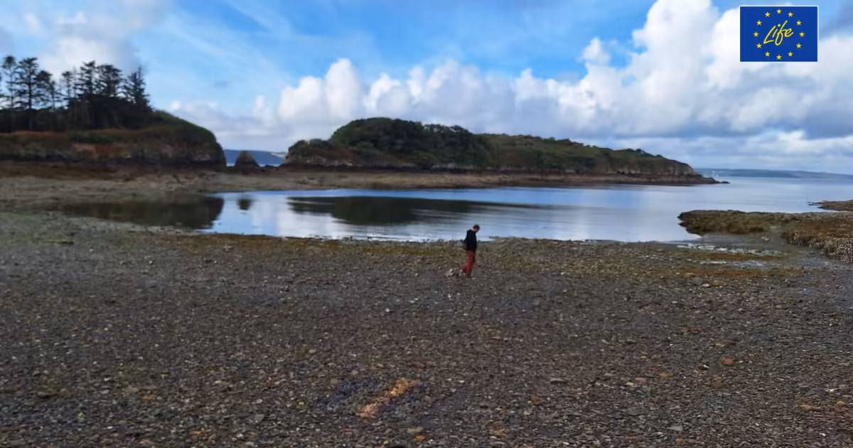 LIFE projects showcase solutions for restoring Europe’s nature