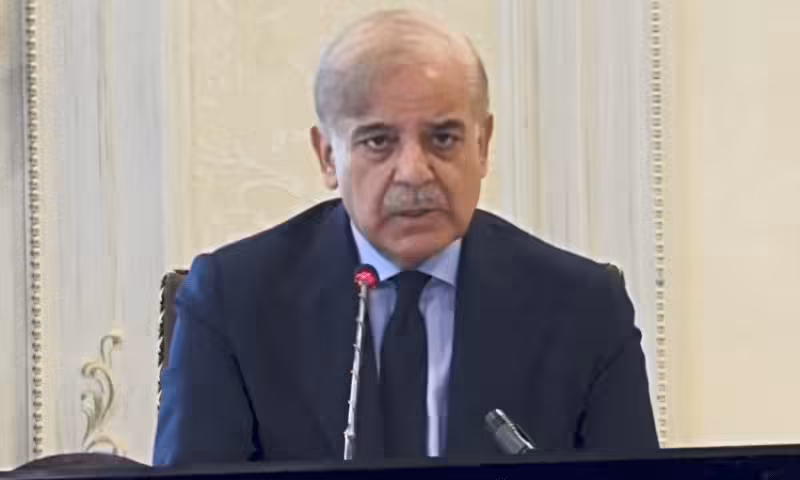 PM Shehbaz forms body to review proposed LPG policy reforms