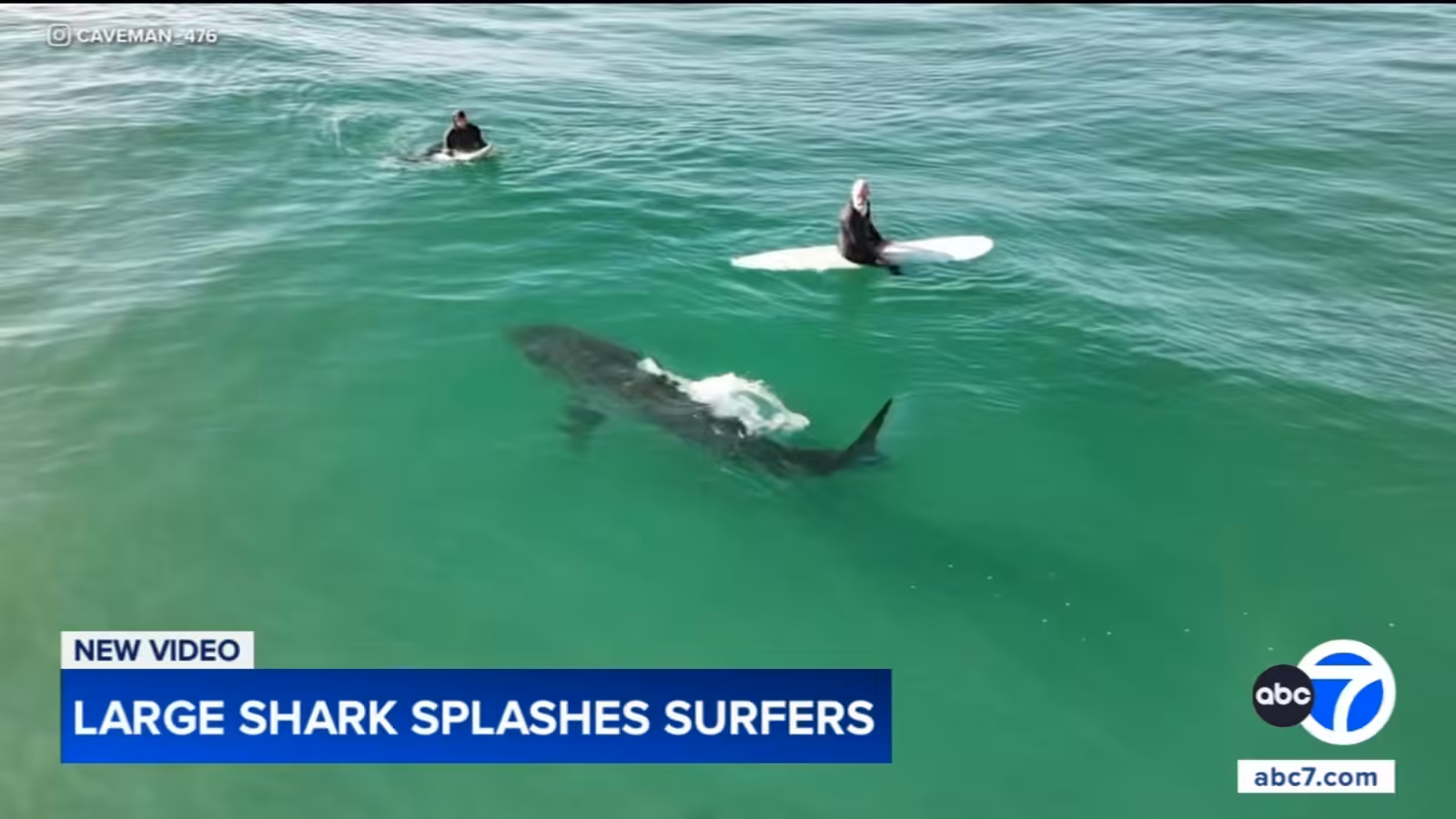 Shark swims near surfers, splashes one with its tail in close encounter off California coast, video shows