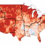 ‘The necktie is dead’: How US midterm candidates are dressing for votes
